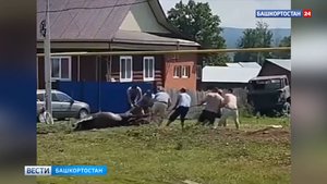 В Бурзянском районе Башкирии сельчане спасли лошадь, провалившуюся в колодец