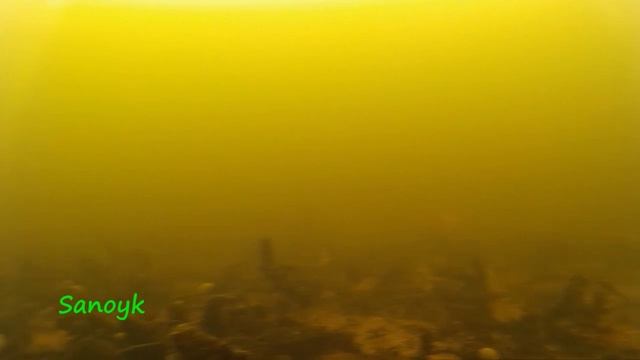 Подводное царство рыб или погружение экшн камеры sj4000WiFi под воду смотреть онлайн