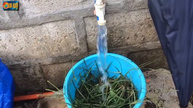 Как приготовить зеленое удобрение из травы. смотреть онлайн