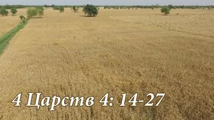 4 Царств 4:14-27