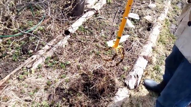 Как избавиться от сныти культиватором корнеудалителем Торнадо? Вывести сныть культиватором Торнадо смотреть онлайн