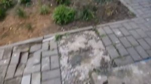 Кнопочный телефон упал с 9 ЭТАЖА НА АСФАЛЬТ!!!