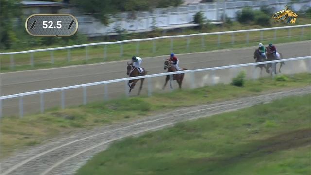 1-я Скачка. Приз коннозаводчиков КБР (Ограничительный). Нальчикский ипподром 9 сентября 2023 смотреть онлайн