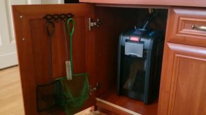 Малавийские цихлиды. 540л сине-желто-полосатых))) (для форума)