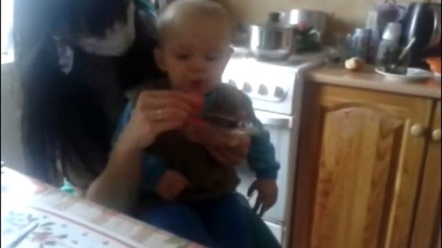 Малыш первый раз в жизни кушает арбуз смотреть онлайн