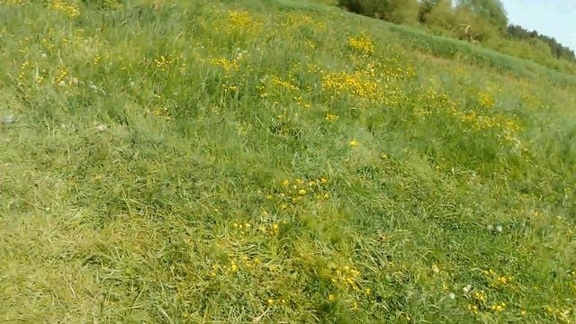 р Нёман д Лунино 05 2023 смотреть онлайн