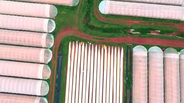 АНГЛИЯДАҒЫ ЖҰМЫСТАР СПАРЖА-2022 смотреть онлайн