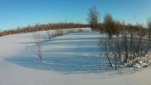 Прогулка по лесу 7 02 22 Часть 2. Безымянное озеро..mp4