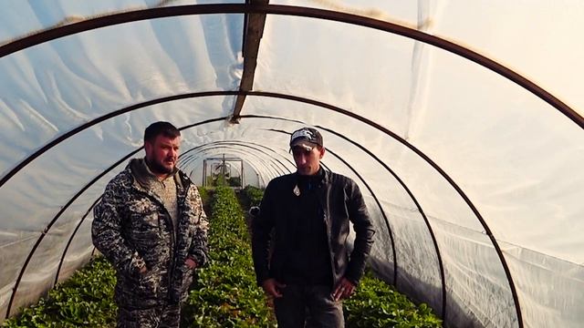 НОВЫЙ Телеграмм Канал от ,,АгроДар,, и ,,Клубника от Иваныча,, смотреть онлайн