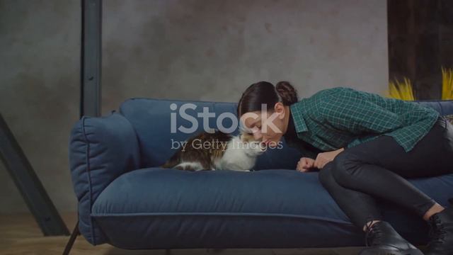 Why Does My Cat Keep Checking On Me, 🐱Why My CaT Keep in Eye on Me ? смотреть онлайн