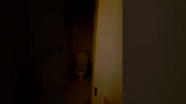 Снять  комнату в центре СПб посуточно