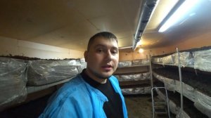 СИТИ ФЕРМА В ПОДВАЛЕ _ ВЫРАЩИВАЕМ ШАМПИНЬОНЫ _ КОМПОСТ И ТОРФ