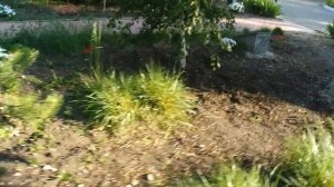 Красный Октябрь (Саратовская область)