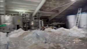 Ирина Волк: Сотрудниками МВД России пресечено производство контрафактных напитков и сигарет