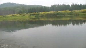 Летняя охота и рыбалка  р Илим р Коченга  1 Часть  Восточная Сибирь  Иркутская обл  18   19 августа