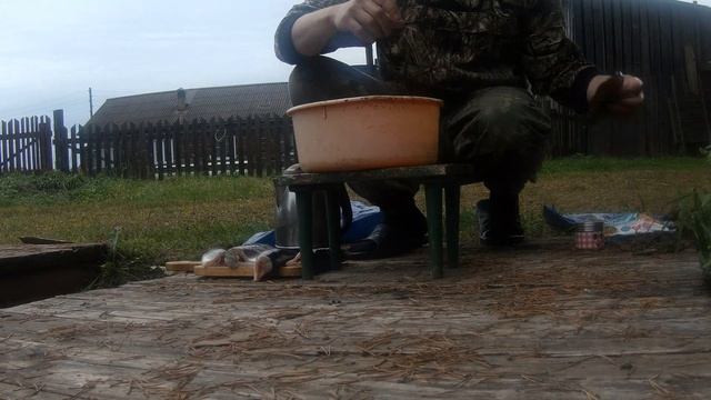 Щука горячего копчения на ольхе смотреть онлайн