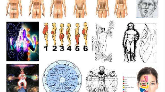 Структуры Ци