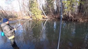 ЛОВЛЯ Хариуса в МОРОЗ по заберегам/ катится КРУПНЫЙ ХАРИУС по Шуге!!!!