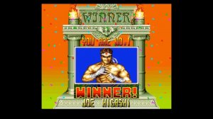 Fatal Fury Special (SNES) Joe Arcade