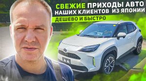 Свежие приходы автомобилей из Японии. Показываем авто наших клиентов