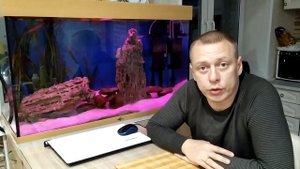 фиолетовый свет в аквариуме