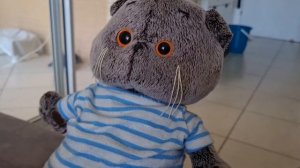 сериал "весёлый школьник Басик"