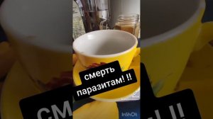 Смерть паразитам ...Антипаразитарка! микстура, джем, чай, магний водород