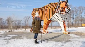 Владивосток. Арт-парк Штыковские пруды. Зимний рай для экстремалов...