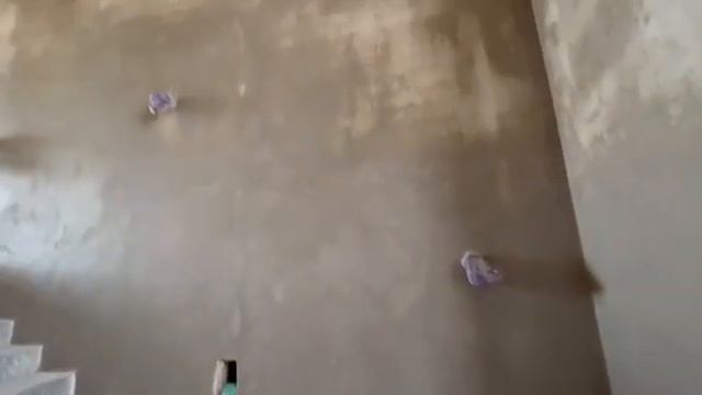 под обои гипсовая штукатурка.