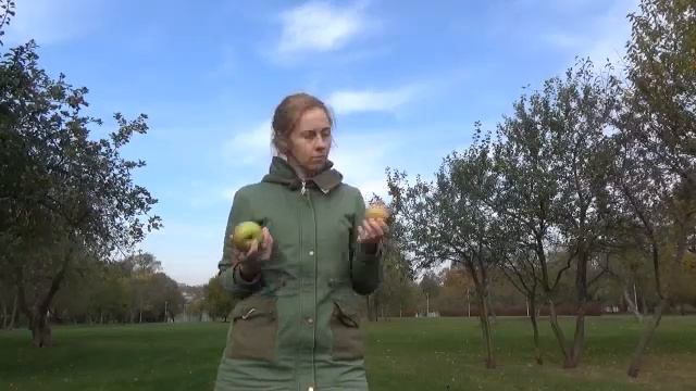 Жонглирование мячами, тростью. Мастер-класс.