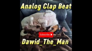 Analog Clap Beat