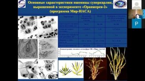О роли растений в освоении дальнего космоса