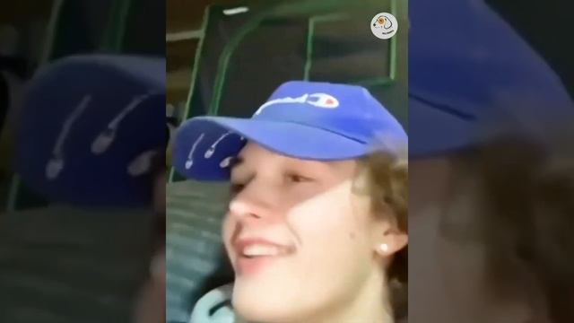 Забавные коты и собаки