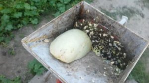 Самодельная корморезка