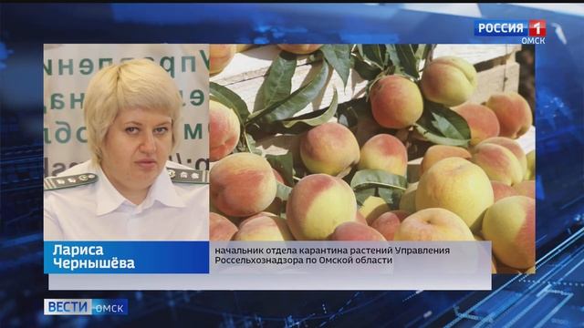 В Омск пытались ввезти 11 тонн зараженных персиков из Узбекистана смотреть онлайн