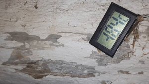 Японский улей! Пчеловодство в минус 35°С! Зимовка пчел на улице и в неотапливаемом помещении!