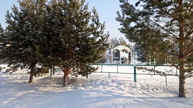 ОСИННИКИ.
