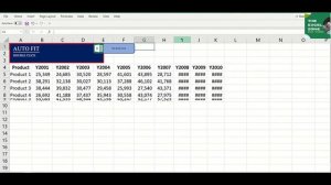 AutoFit - The Fastest Way to Adjust Rows and Columns