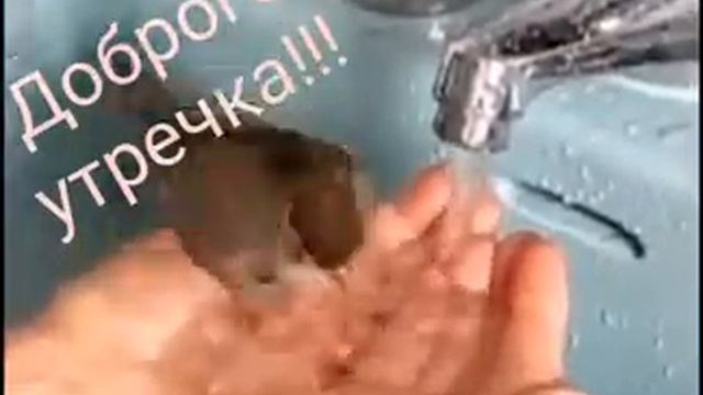 Скоро весна, поем вместе смотреть онлайн