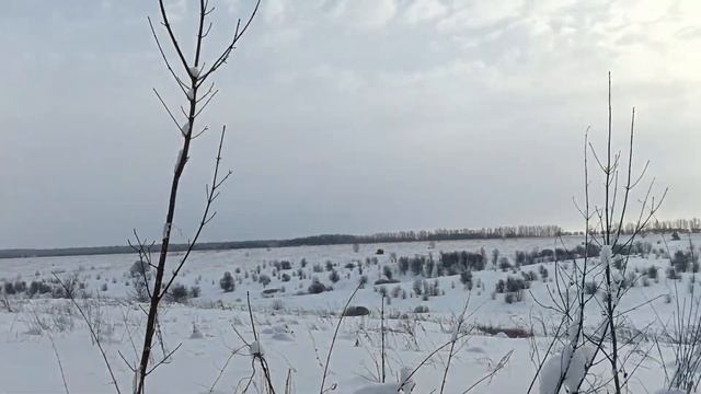 По деревне на мотособаке. Проверили все дома и то,что осталось от школы. смотреть онлайн