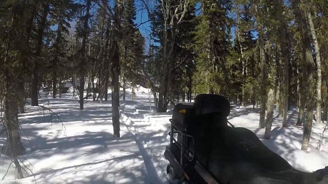 Поездка в лес на снегоходе смотреть онлайн