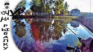 Такого я не ждал. Рыбалка утром. Окунь на микроджиг