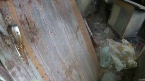 Скородное. Заброшенная глубинка Липецкой области