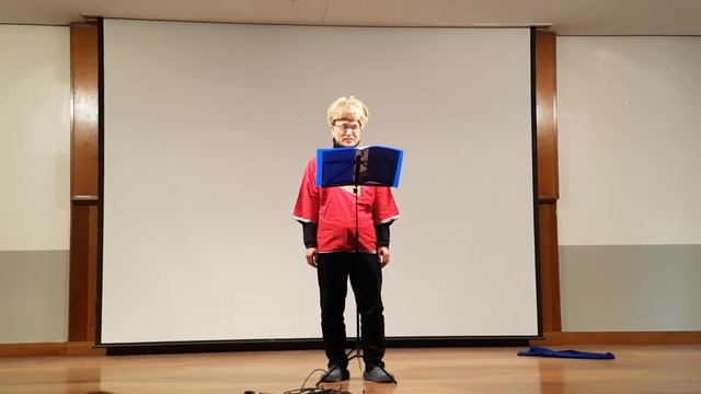 Песня индийского гостя. опера Садко Римского-Корсакова. смотреть онлайн