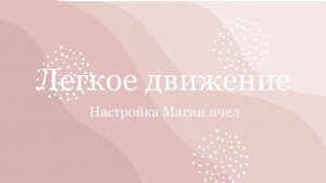 О настройке магии пчел «Легкое движение» перемены в жизни и оздоровление суставов