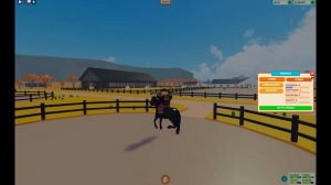 HOW TO WIN RACES & LEVEL UP the BEST HORSE in HORSE VALLEY ROBLOX