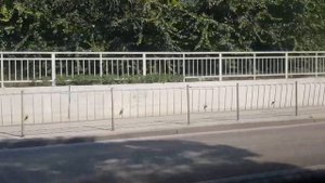 Севастопольский троллейбус из пл.Ушакова до к/т Москва 23 авг.2021