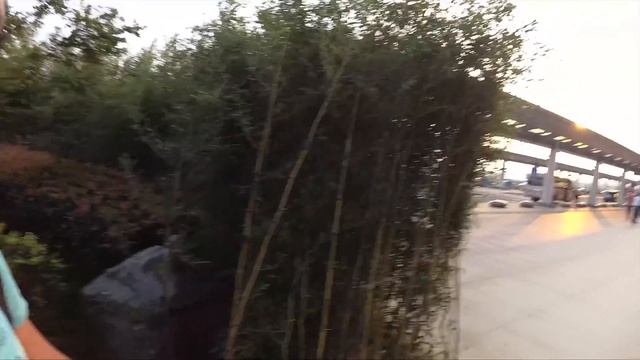 Путешествие в Китай на Жёлтое море #4 Последние дни в Жичжао и поездка домой