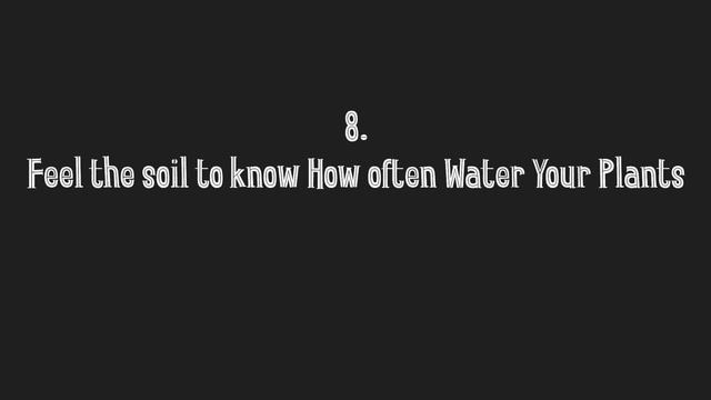 15 Essential Indoor Plant Care Tips that nobody will tell you | Gardening Basics| Malayalam