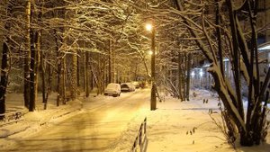 Вадим Егоров Зимнее воспоминание
